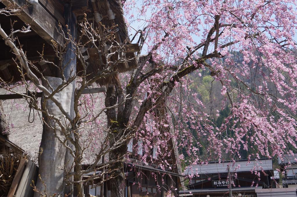 Kazeya Hotel Takayama  Bagian luar foto