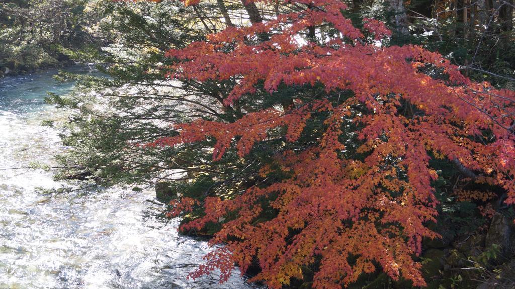 Kazeya Hotel Takayama  Bagian luar foto